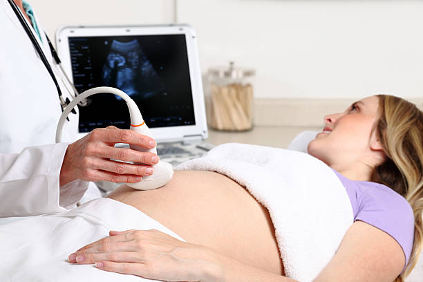 echographie de la femme