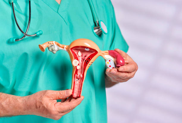 pathologie de la femme, prise en charge, docteur, gynecologue, chirurgien