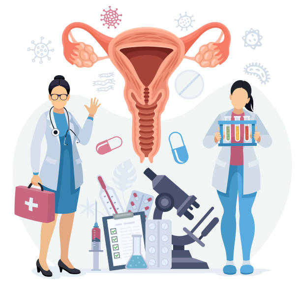 gynecologue, praticien, docteur, prise en charge de la femme