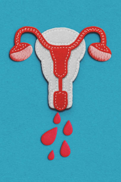 règles menstruation