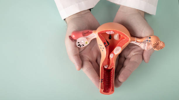 pathologie de la femme
