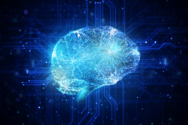 cerveau humain